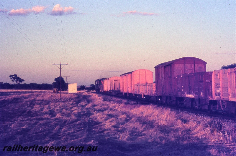 P19742
Diesel hauled goods train, comprising vans and wagons, heading away from camera, trackside shed, Rossmore, EM line
