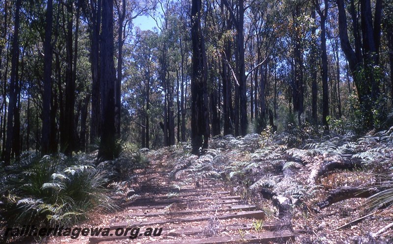 P19755
Old formwork, sleepers, bush setting, Palgarup, PP line
