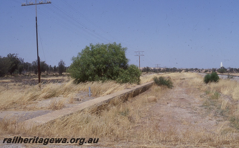 P19759
Abandoned platform and formwork, standard gauge track on right, Meckering, EGR line
