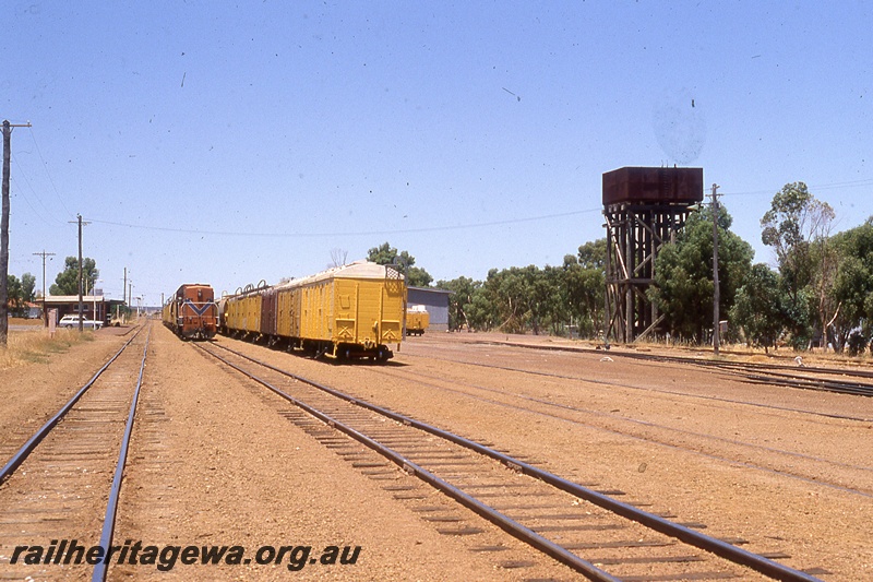 P19764
Diesel in orange livery with blue and white stripe, hauling goods train towards camera, rake of wagons, trackside buildings, track, yard, water tower, Wongan Hills, EM line 
