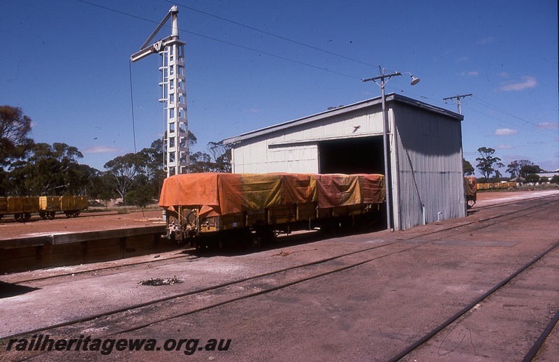 P19766
Rake of covered wagons, rakes of open wagons, goods shed, platform, crane, track, yard, Quairading, YB line
