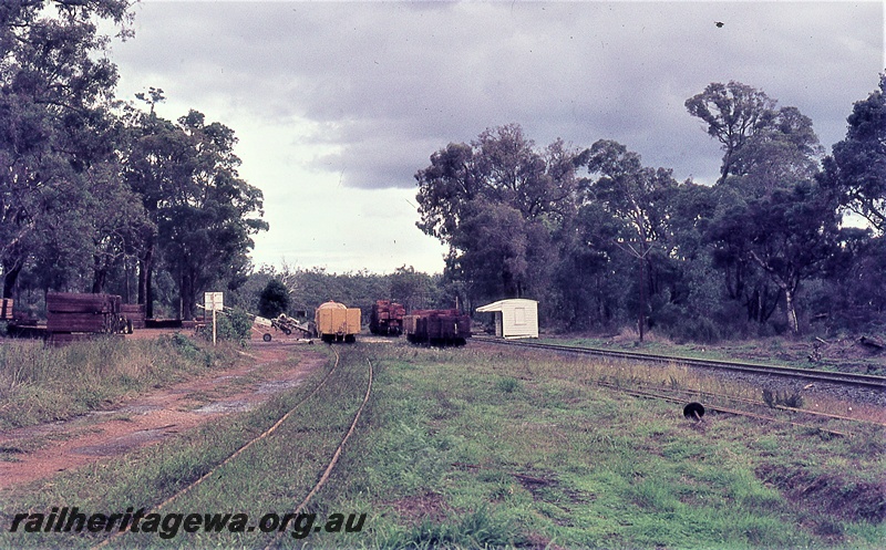 P19767
Trackside building, wagons, piles of timber, mobile loader, tracks, point lever, forest setting, Palgarup, PP line, Easter
