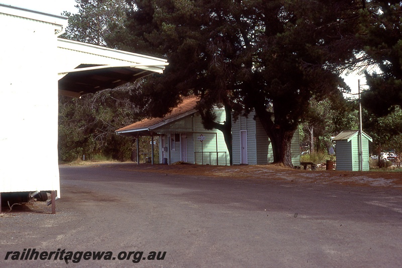 P19768
Station buildings, old platform with large trees, bitumen road, Margaret River, BB line
