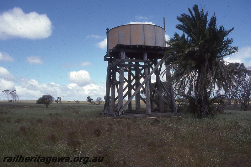 P19780
Water tower, adjacent palm tree, Formby, TO line
