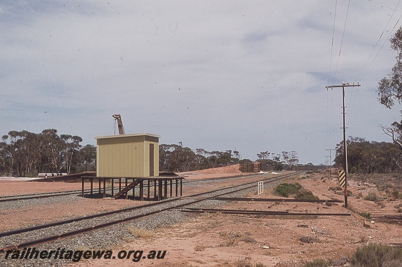 P19781
Building on elevated platform between tracks, crane, loading ramps, Widgemooltha, CE line
