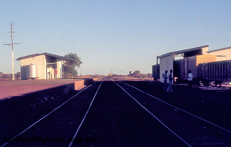 P19802
Station building, platform, goods shed, rake of vans and wagon, workers, tracks, Leonora, KL line
