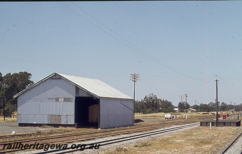 P19805
Goods shed, van, loading platform, yard, tracks, Pinjarra, SWR line
