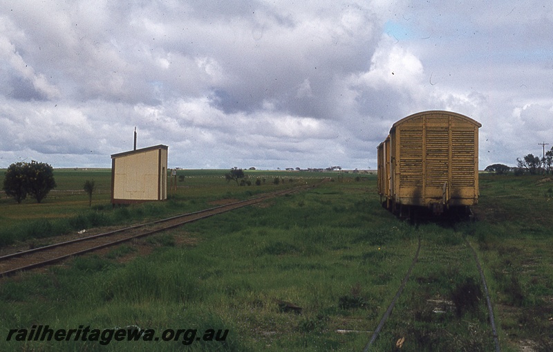 P19816
Rake of vans on siding, station building on main track, rural setting, Toolbrunup, TO line
