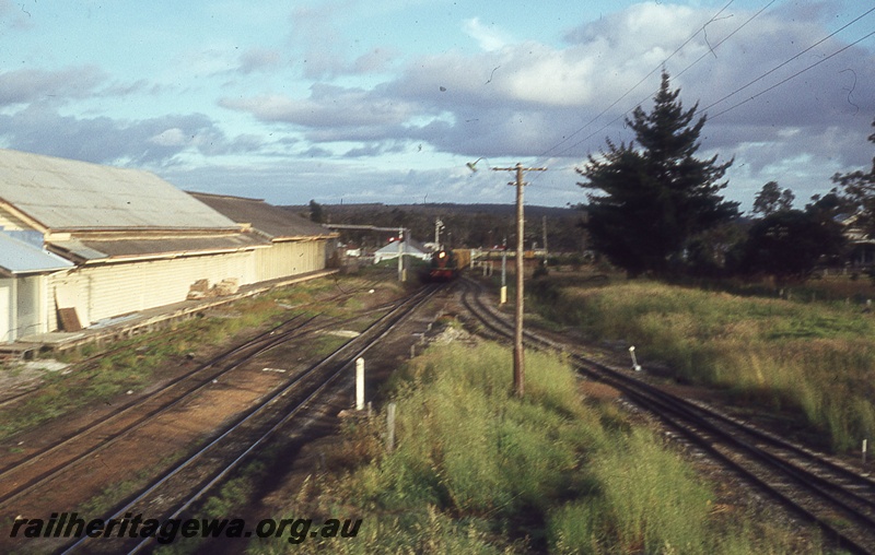 P19819
Diesel in green livery with red and yellow stripe, hauling goods train, goods shed, semaphore signal, points, point lever, sidings, tracks, Mt Barker, GSR line, train in distance, approaching camera
