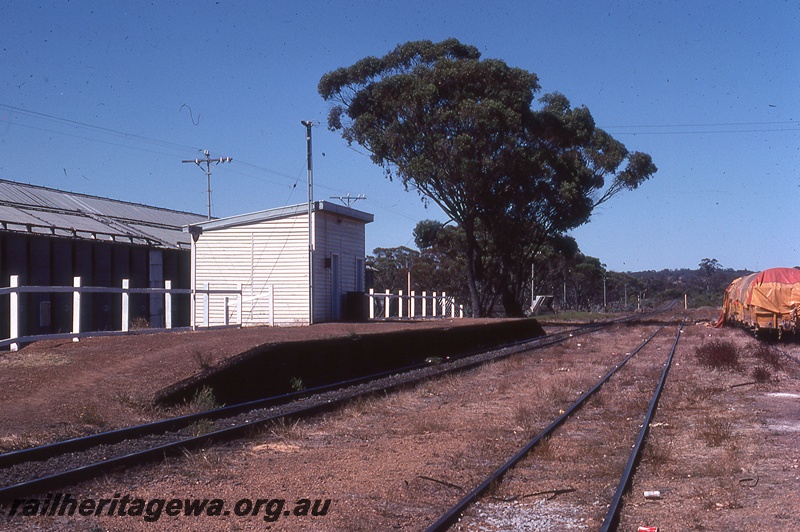 P19821
Rake of covered wagons on siding, station building, platform, tracks, shed, Cuballing, GSR line
