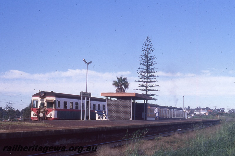 P19848
ADG class railcar set, platform, station shelter, station nameboard, passenger, tracks, Shenton Park, ER line, track level view
