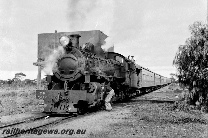 P19905
PR class 537 