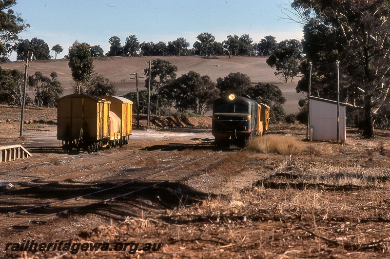 P19938
X class 1002, on goods train, rake of vans and wagon, tracks, out of shed, Muradup, DK line, front and side view
