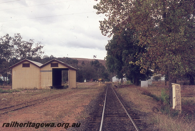 P19950
Goods shed class 1, tracks, Balingup, PP line
