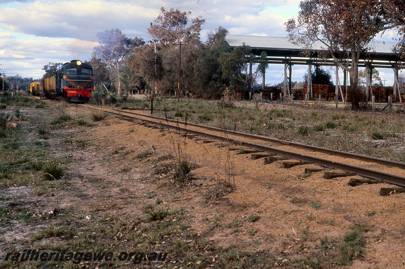 P19957
X class 1002 on goods train, large wood shed, piles of timber, Busselton, BB line, side and front view
