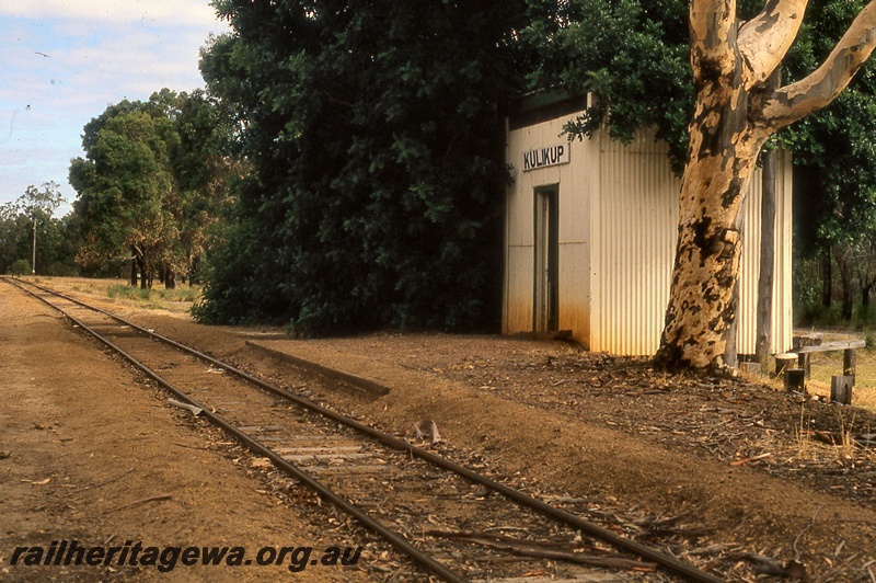 P19982
Station shed, track, Kulikup, DK line
