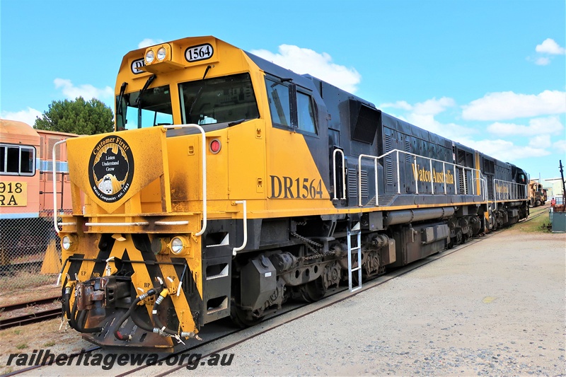 P19996
Watco Australia DR class 1564 in the yellow and black livery passing through the site if the Rail Transport Museum, Bassendean, front and side view
