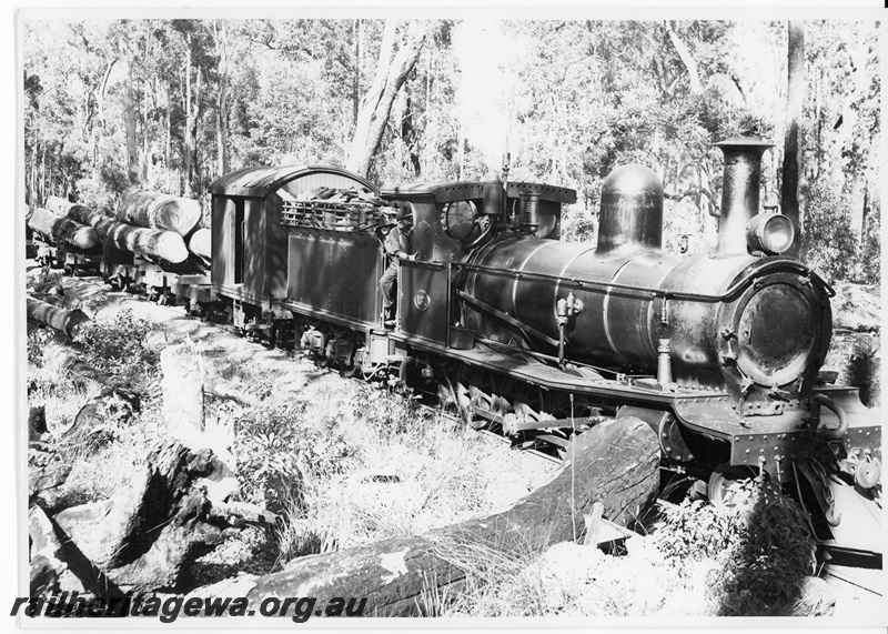 P20023
G class 137, on timber train, forest setting, side and front view
