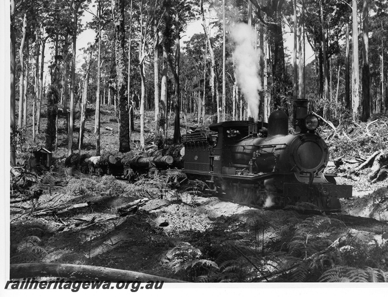 P20150
State Saw Mills loco No 2, (Beyer Peacock 5475/1911), on log train, leaving log landing for Pemberton, forest setting, side and front view 
