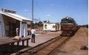 P20125.jpg
