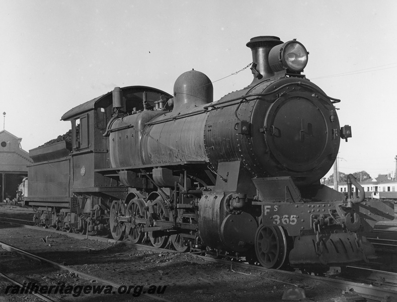 P20367
FS class 365 at East Perth loco shed. Three-quarter portrait photo, right hand side. ER line.
