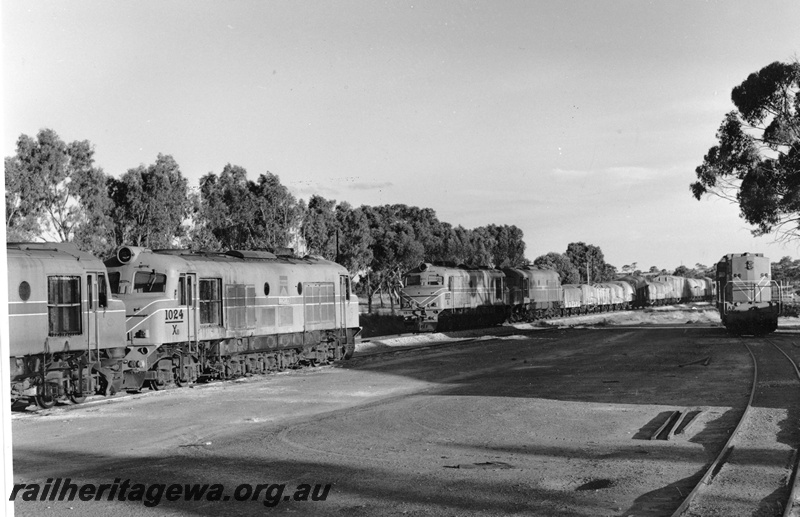 P20378
XB class 1024 in front of unidentified X class waiting in yard.
