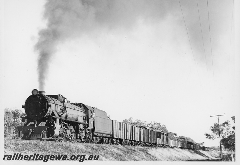 P20399
V class 1219 hauling a goods train,  front and side view along the train
