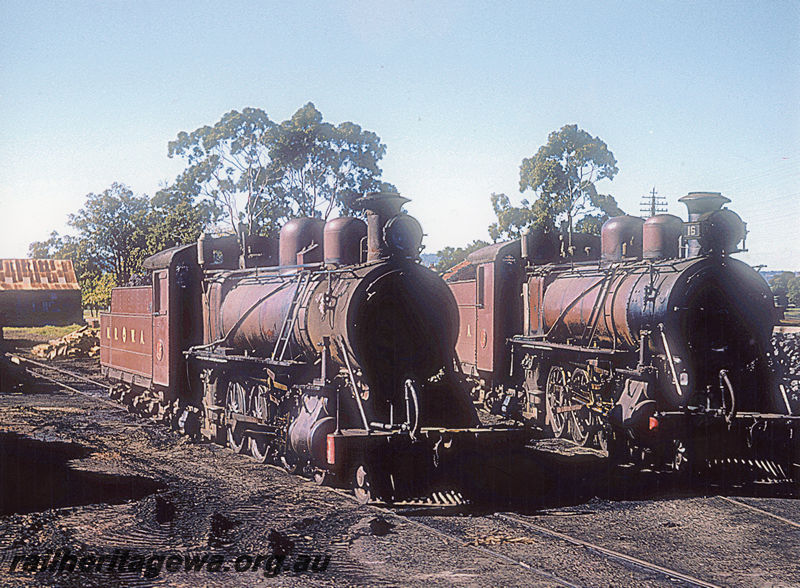 P20413
MRWA locomotives, C class 18 , C class 16, both in the brown livery, C18 with a non standard MRWA headlight,, at MRWA Midland Junction locomotive depot. side and front view, MR line.
