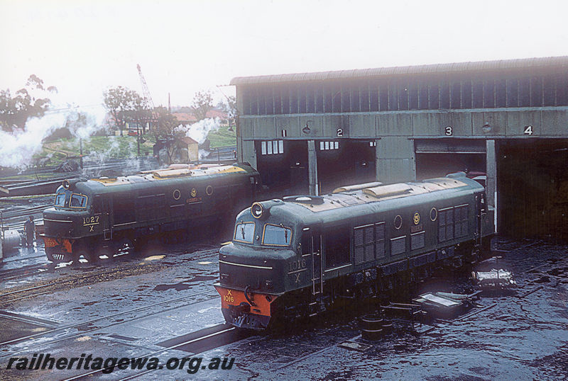 P20414
X class locomotives X1016 and 1027 in all green livery at East Perth diesel  locomotive depot. ER line. 
