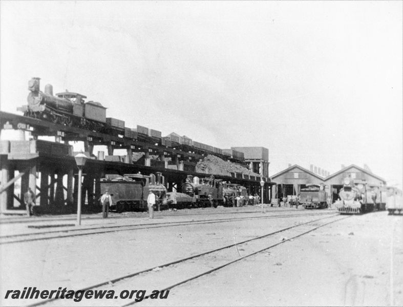 P20494
 Steam loco depot, 8 locos including an N class, coal train, coaling stage, water tower, sheds, workers, Kalgoorlie, EGR line, view form track level, c1900
