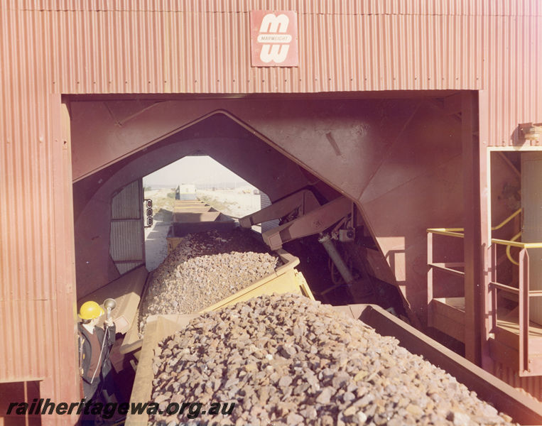 P20518
WO class wagons, discharging their loads of iron ore, Markweight shed, Australian Iron and Steel Co tippler, Kwinana, view along train
