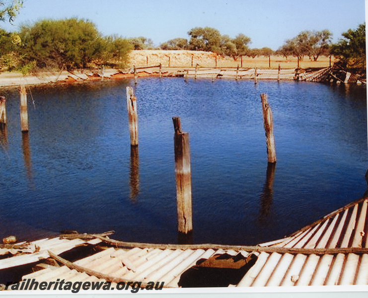 P20545
Dam, wooden piles, debris, Coongoo, NR line, view form damside 
