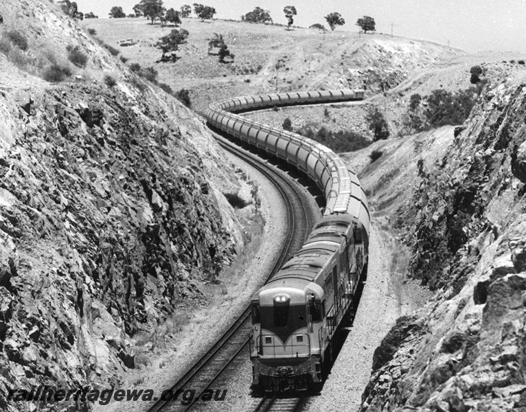 P20694
Two diesel locos in standard gauge livery double heading grain train, Horseshoe Hill Cutting, Avon Valley line, front and side view from elevated position
