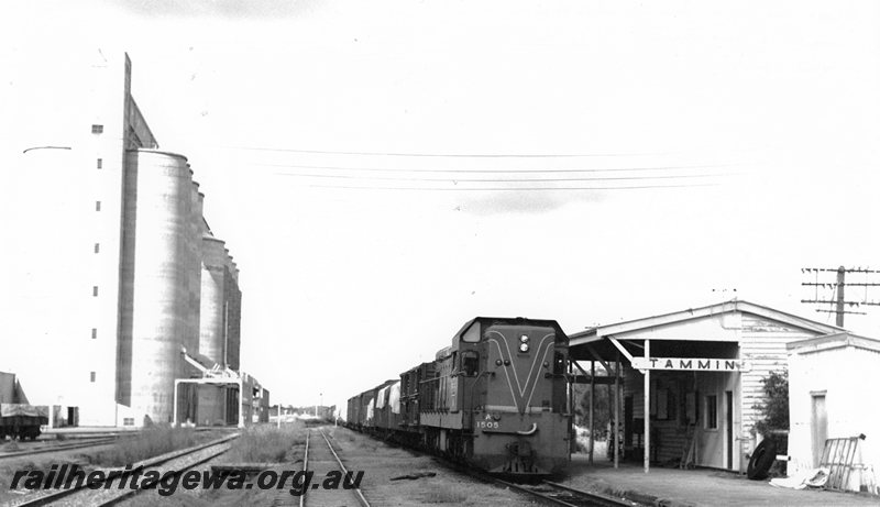 P20738
A class 1505 (livery green with red/yellow stripe) hauling number 98 goods arriving Tammin. Station building in photo and CBH grain bin on left side.  EGR line.
