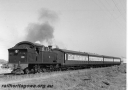 P20806.jpg