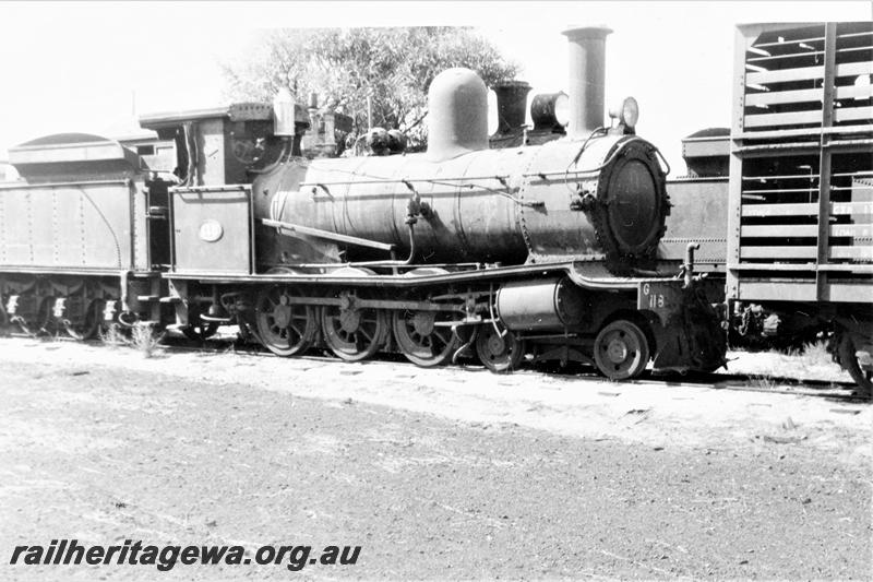 P21099
G class 118, CXB class sheep wagon 17664 (part), Midland, ER line, side and front view
