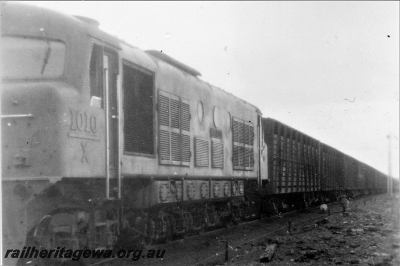 P21213
X class 1010, on mixed train, NR line, front and side view
