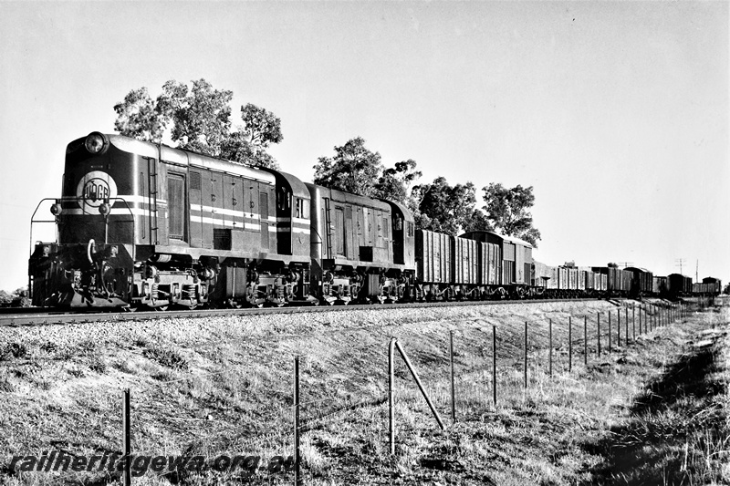 P21279
Ex MRWA F class 46 in MRWA livery but with WAGR disc on the front, and F class 45 painted all red, double heading goods train, Upper Swan, MR line, front and side view
