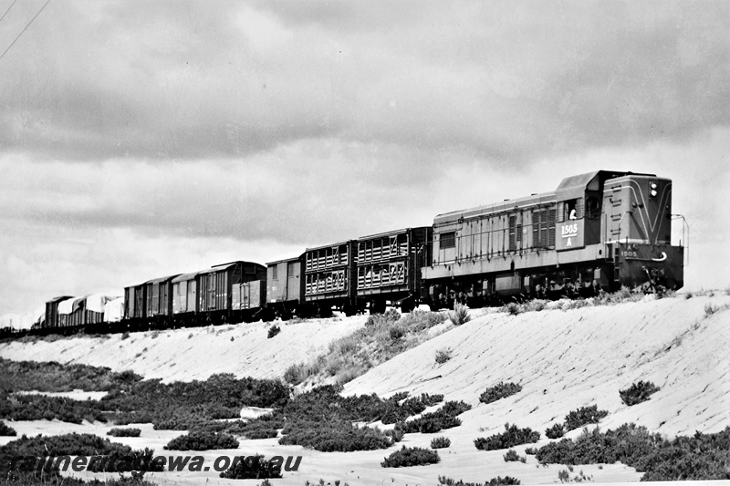 P21281
A class 1505 on goods train on embankment, Boorabbin, EGR line, side and front view
