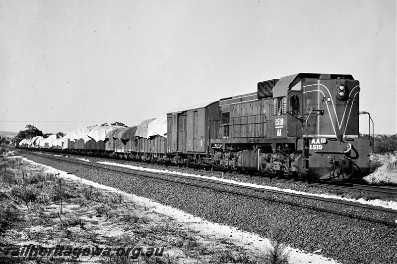 P21284
AA class 1519, on a goods train, Muja, BN line, side and front view
