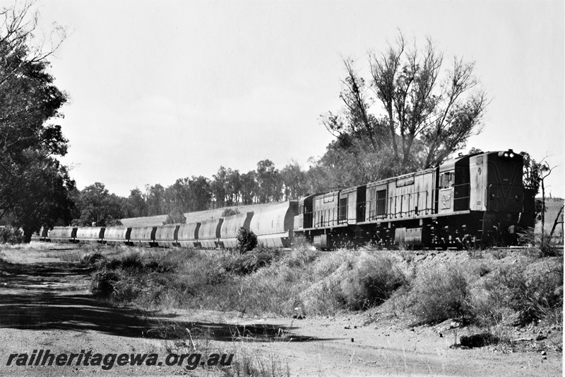P21294
RA class 1915 and another RA class loco double heading block train of woodchip wagons from Lambert to Bunbury, PP line, side and front view
