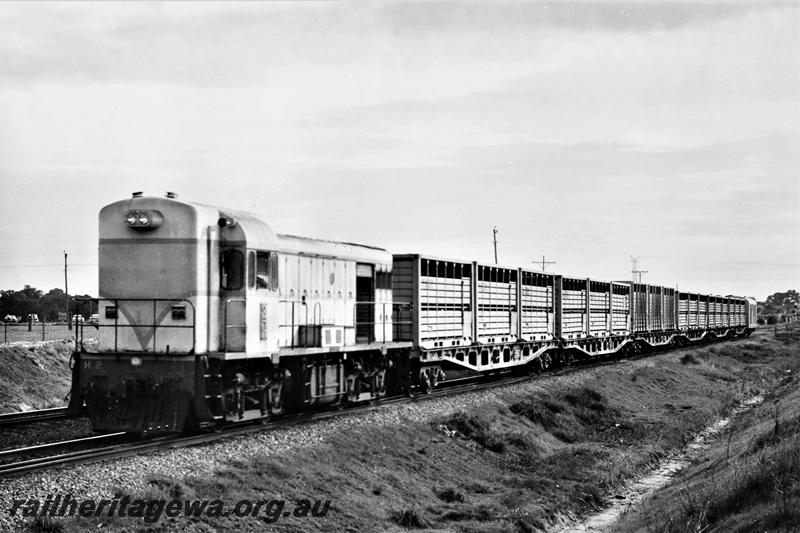 P21298
H class 2 on train of livestock wagons, near Forrestfield, front and side view
