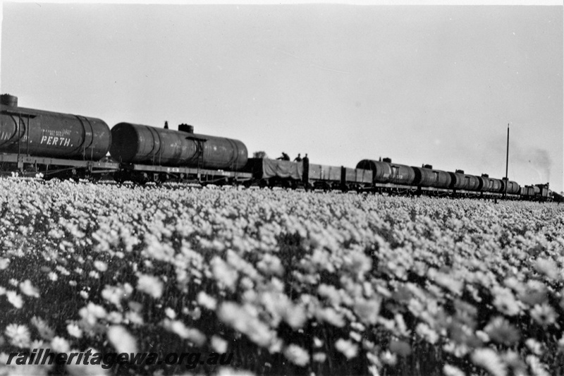 P21373
G class 45 on goods train comprising mainly fuel tankers with other wagons, men riding in one wagon, field of wild flowers, NR line, c1931
