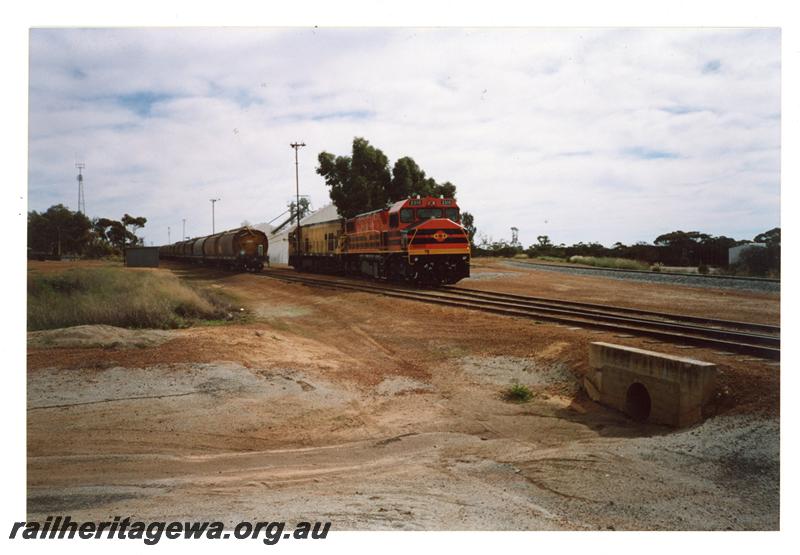P21463
Australian Railroad Group DB class 2310 and P class 2011, rake of grain wagons, shed, culvert, Kalannie, KBR line, side and front view
