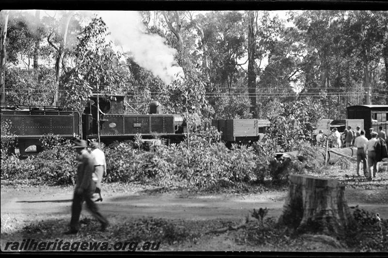 P21511
Tender tank loco, wagons, van, on excursion trip for interstate conference of engineers, pedestrians,  South West forest setting, side view
