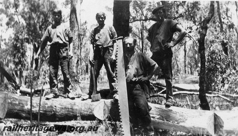 P21541
2 of 20 Construction Scenes of Third Beechina Deviation between Wooroloo and Chidlow ER line c1920s, clearing gang, workers, two handed saw, axe, log
