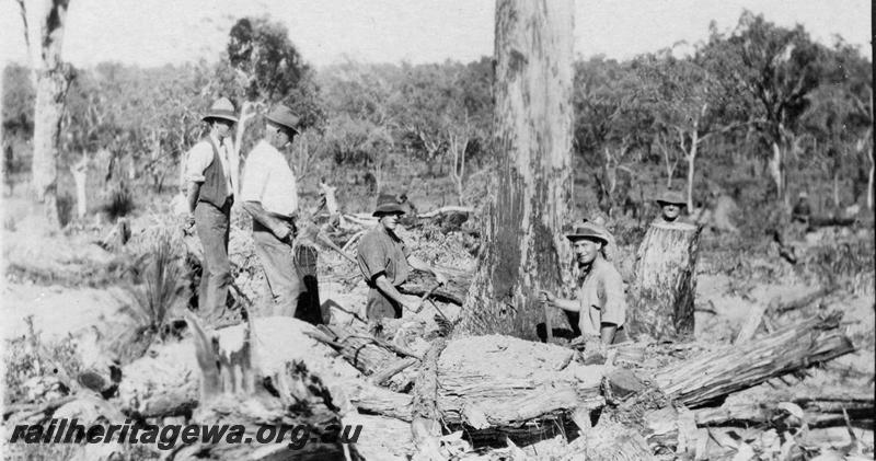 P21551
12 of 20 Construction Scenes of Third Beechina Deviation between Wooroloo and Chidlow ER line c1920s, clearing the formation, workers, logs, cut trees
