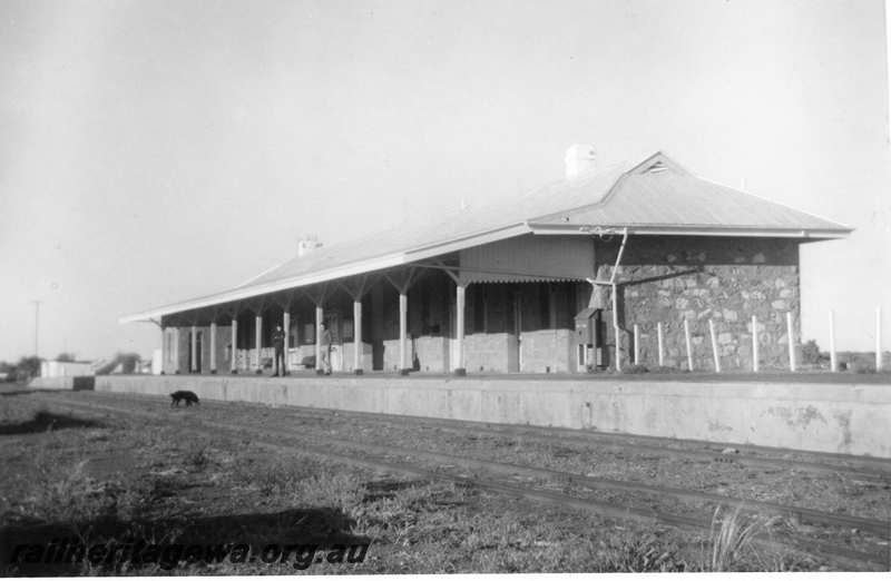 P21698
Station building, platform, tracks, onlookers, dog, Menzies, KL line, view from track level
