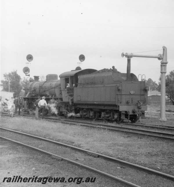 P21772
W class 943  ARHS tour to Dwellingup taking water at Pinjarra. SWR line 
