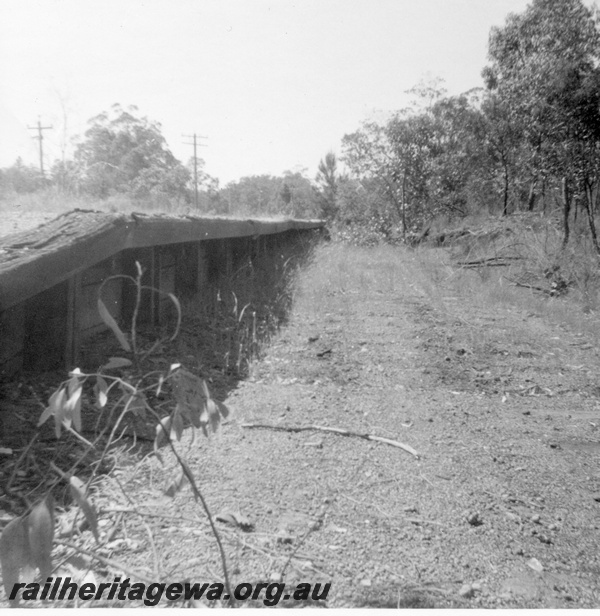 P21839
Disused platform, formation, Sawyers Valley, ER line, view from ground level
